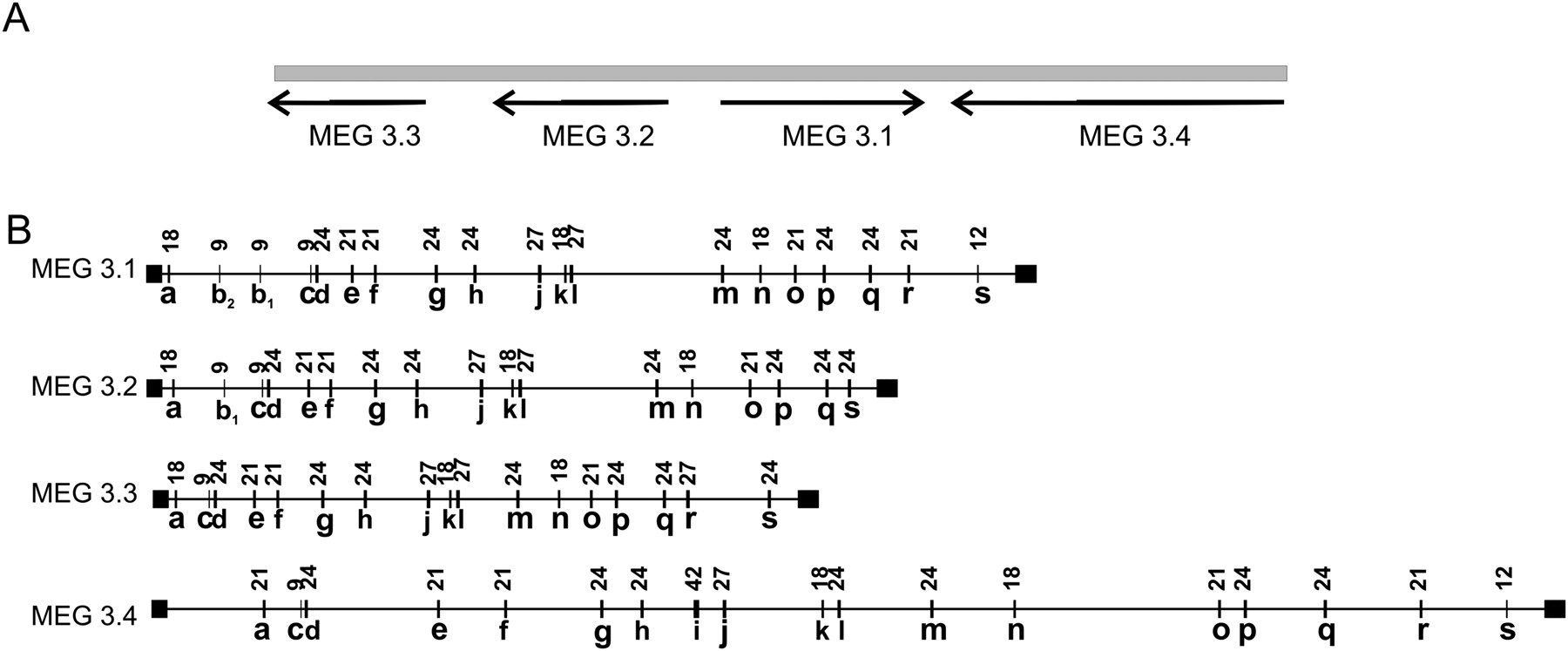 1112fig2