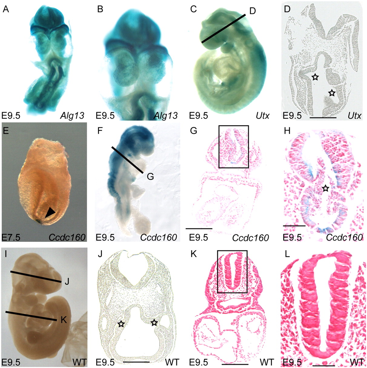 1154fig4