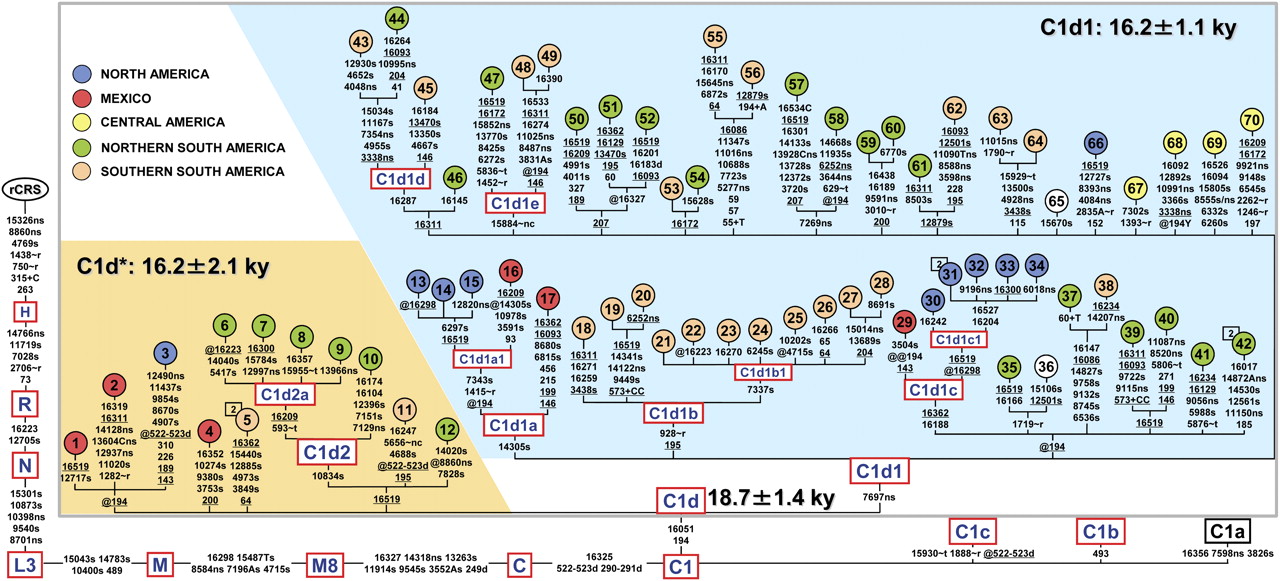 1174fig1