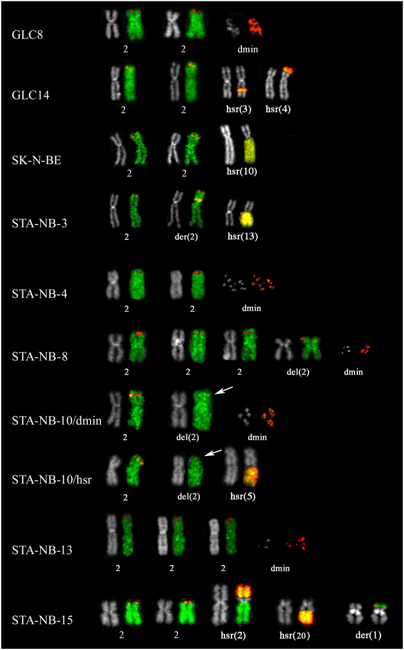 1198fig1