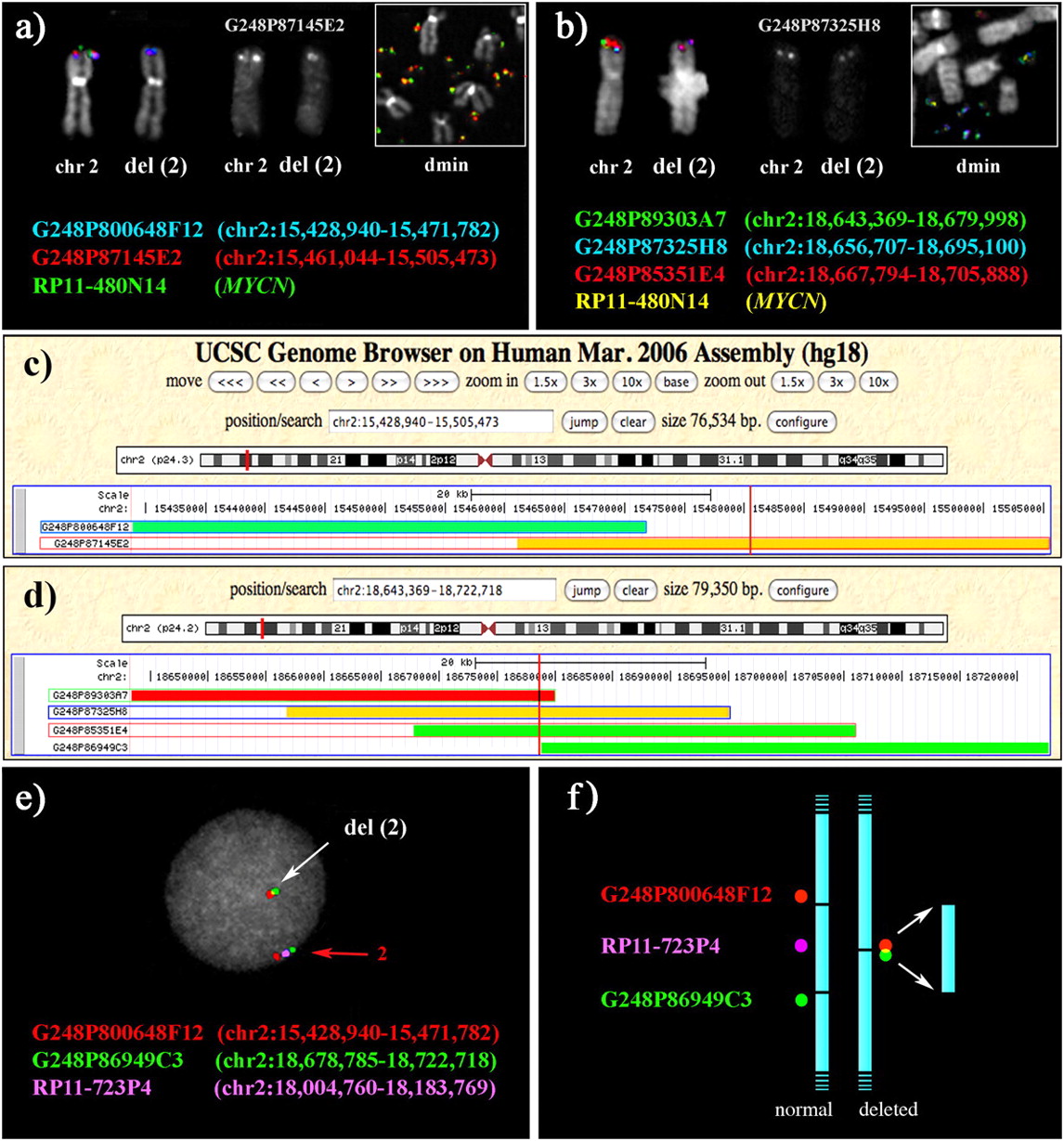 1198fig3