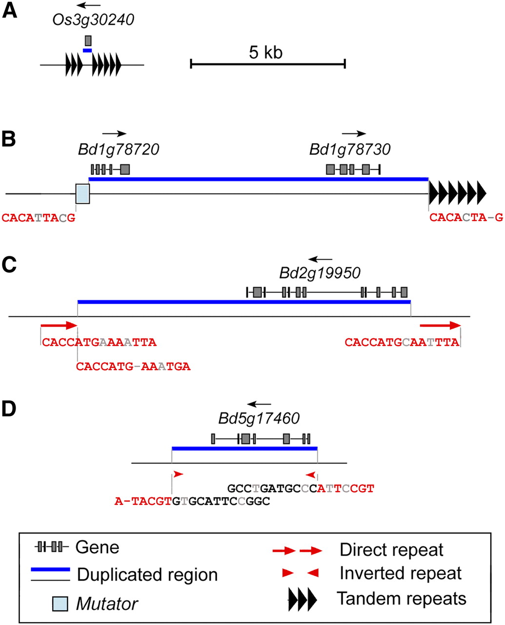 1229fig6