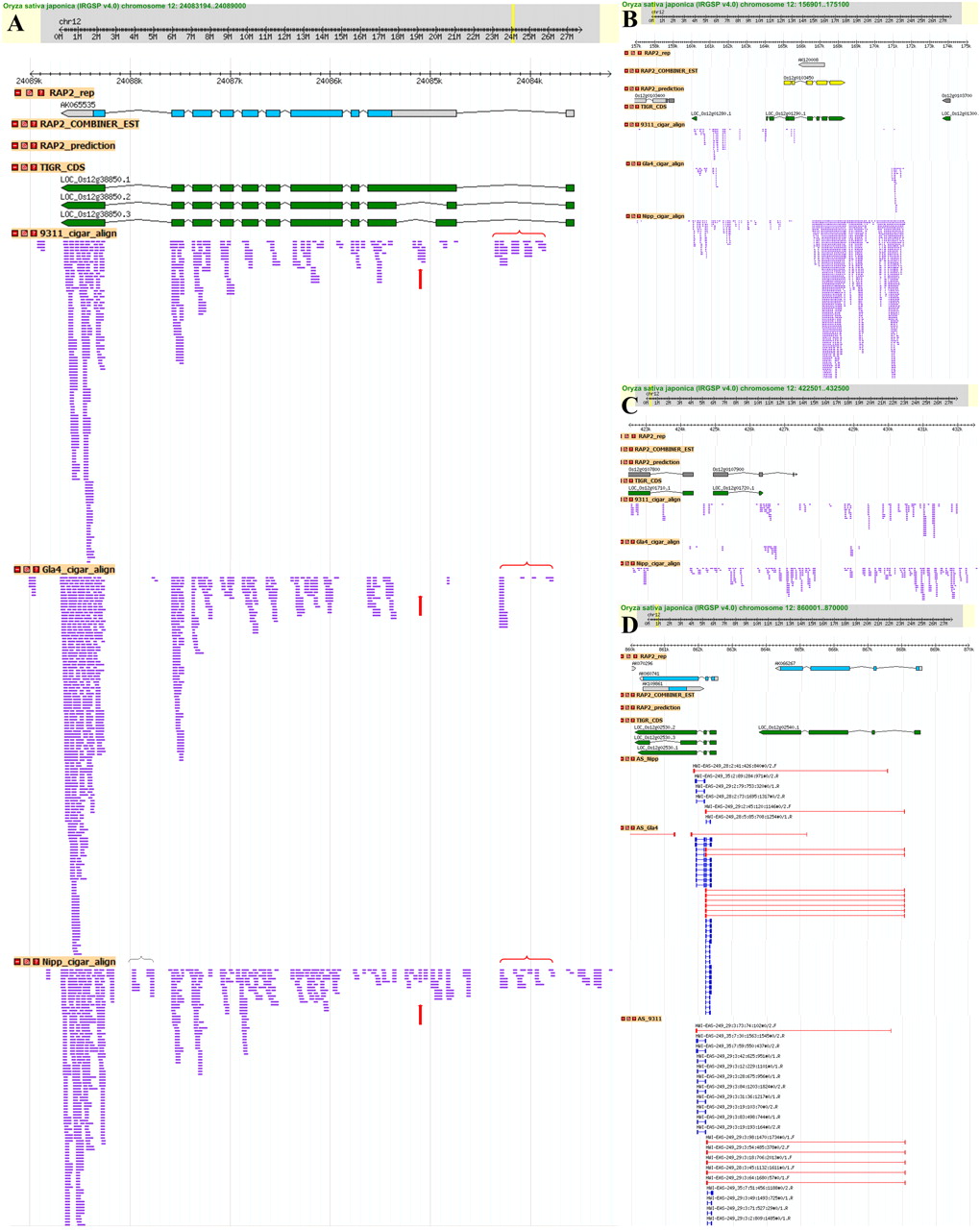 1238fig3
