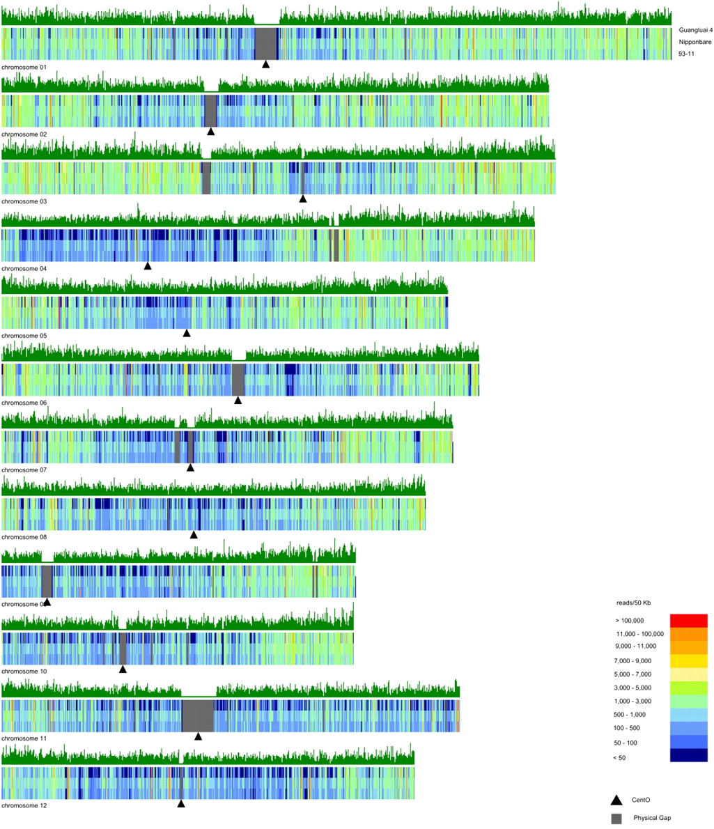 1238fig4