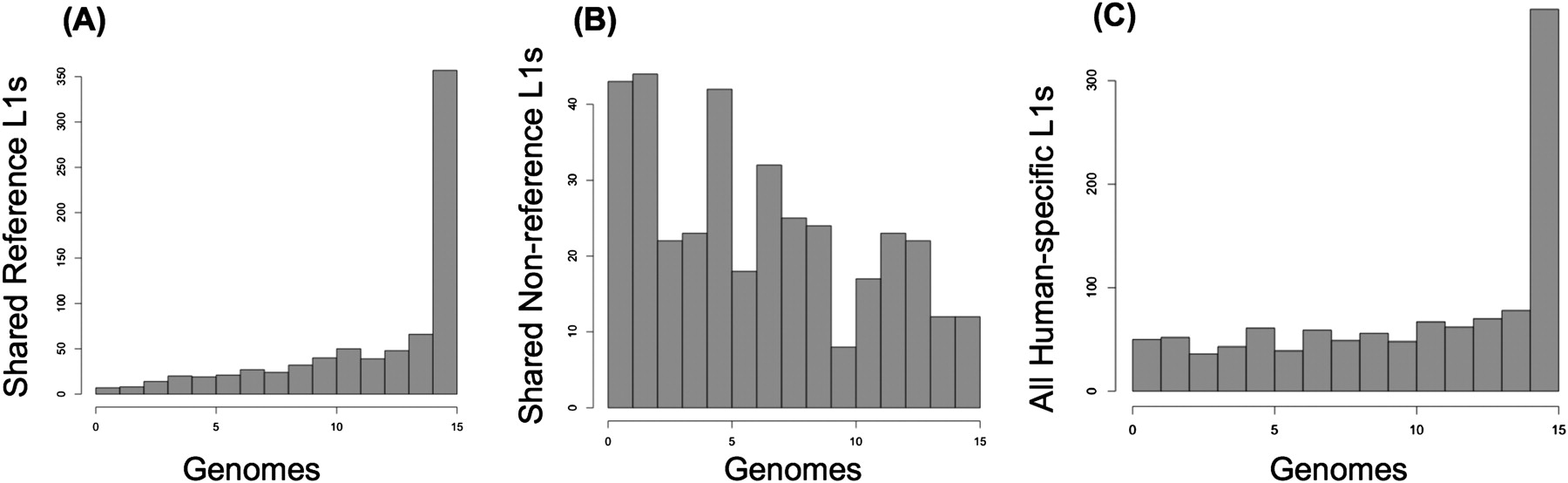 1262fig6