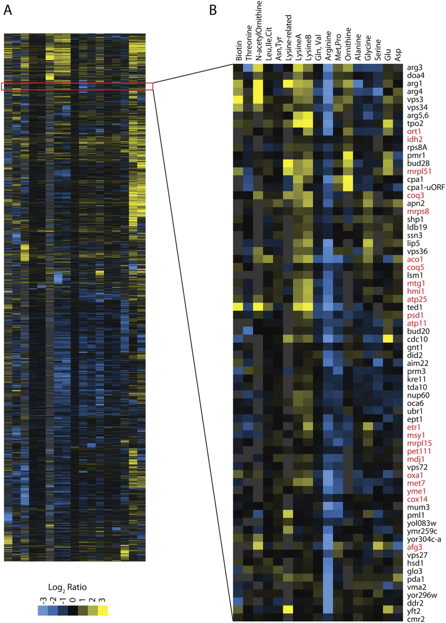 1288fig4