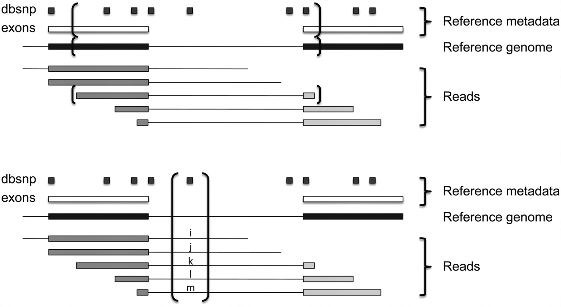 1297fig1