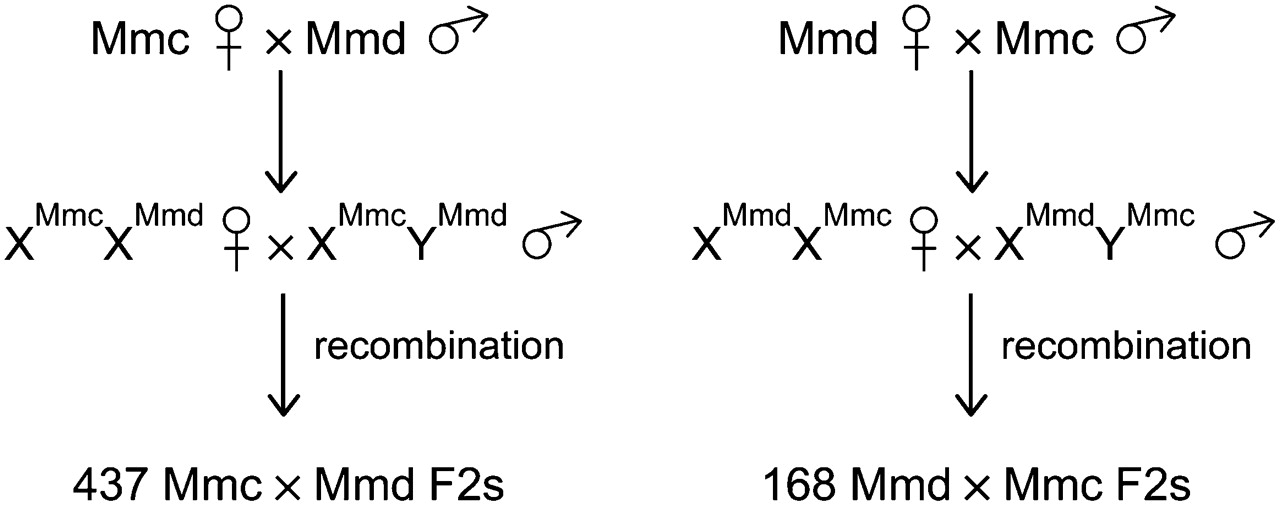 114fig3