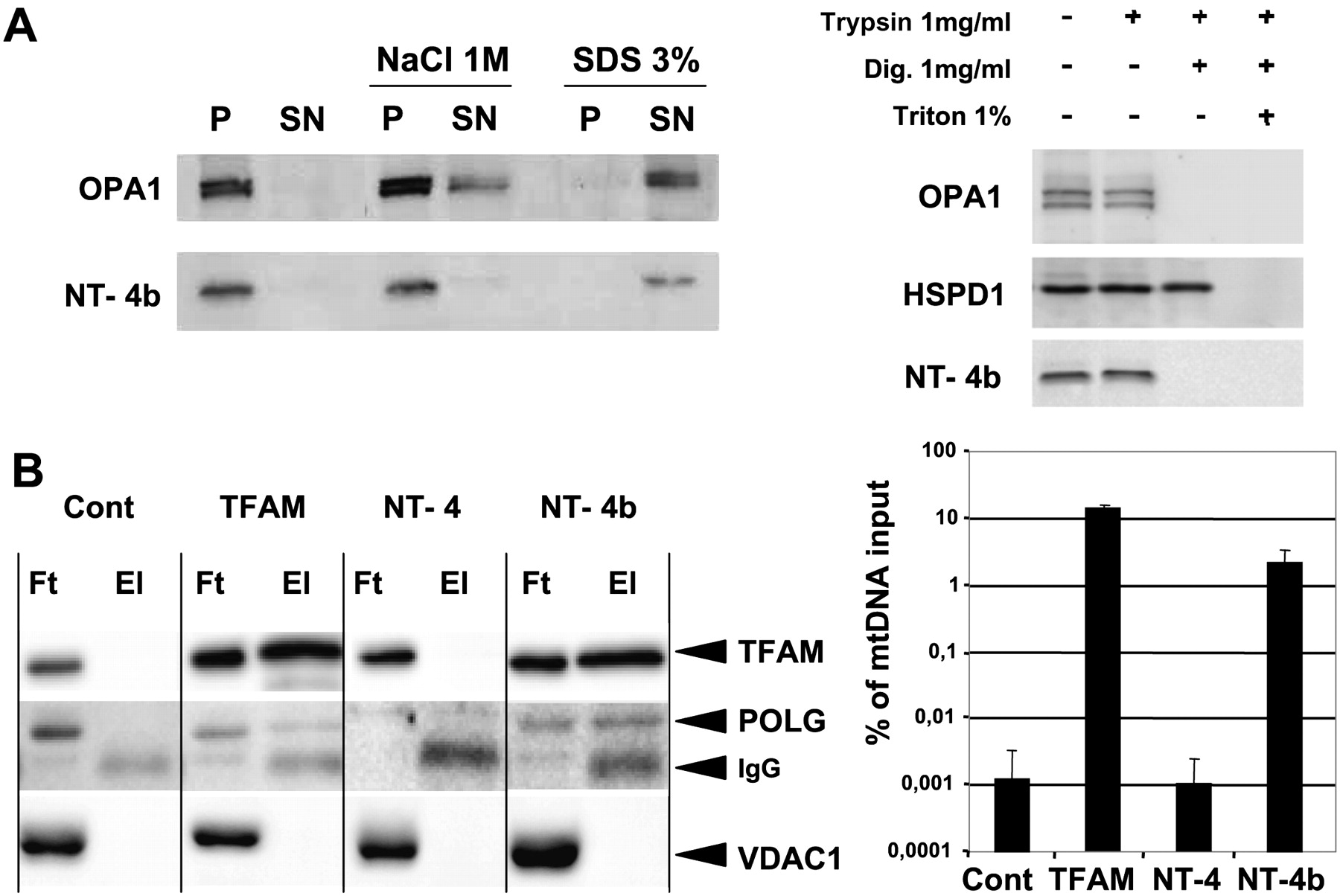 12fig4