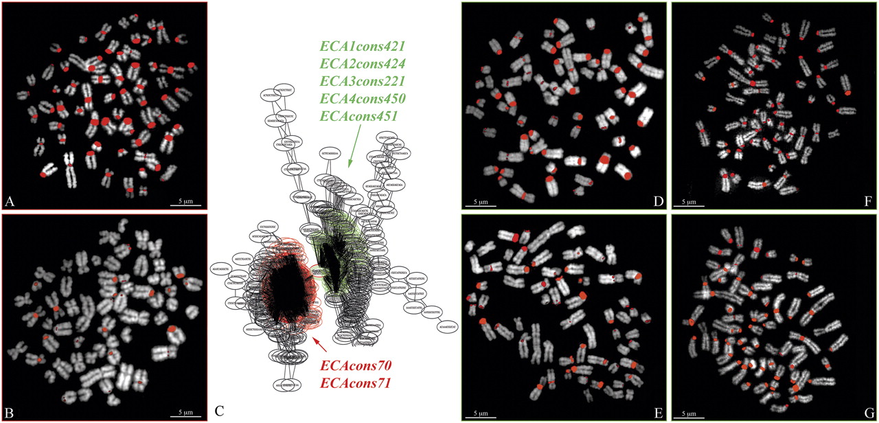 137fig2