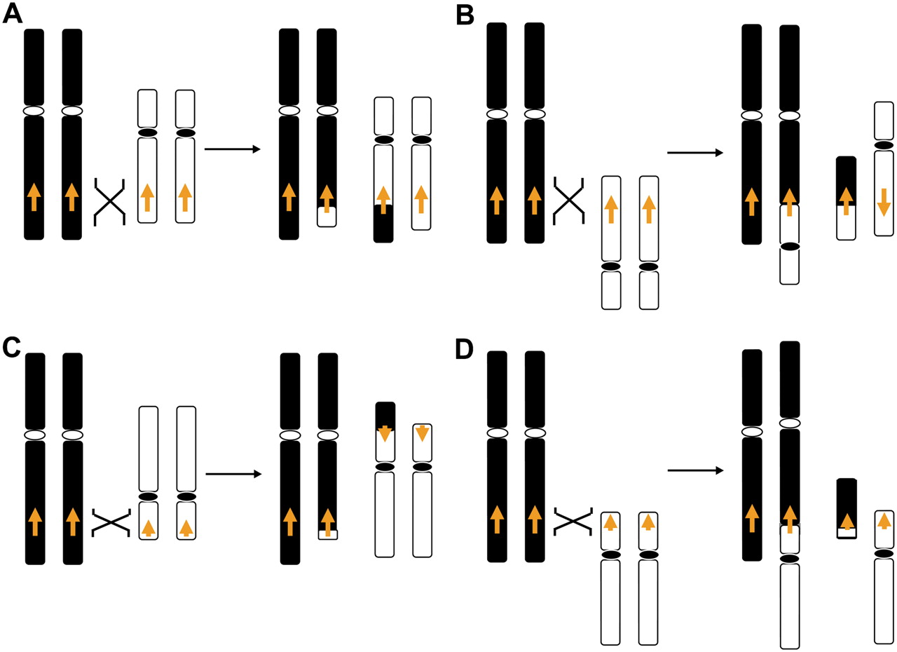 33fig3