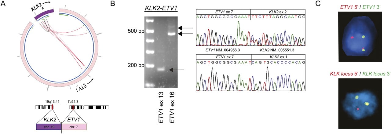 56fig2