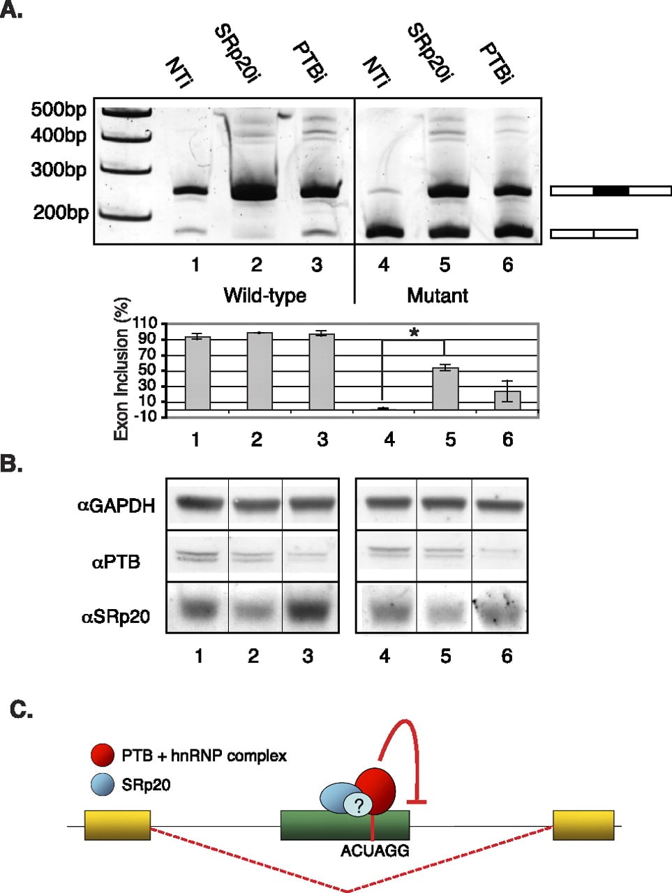 1563fig4