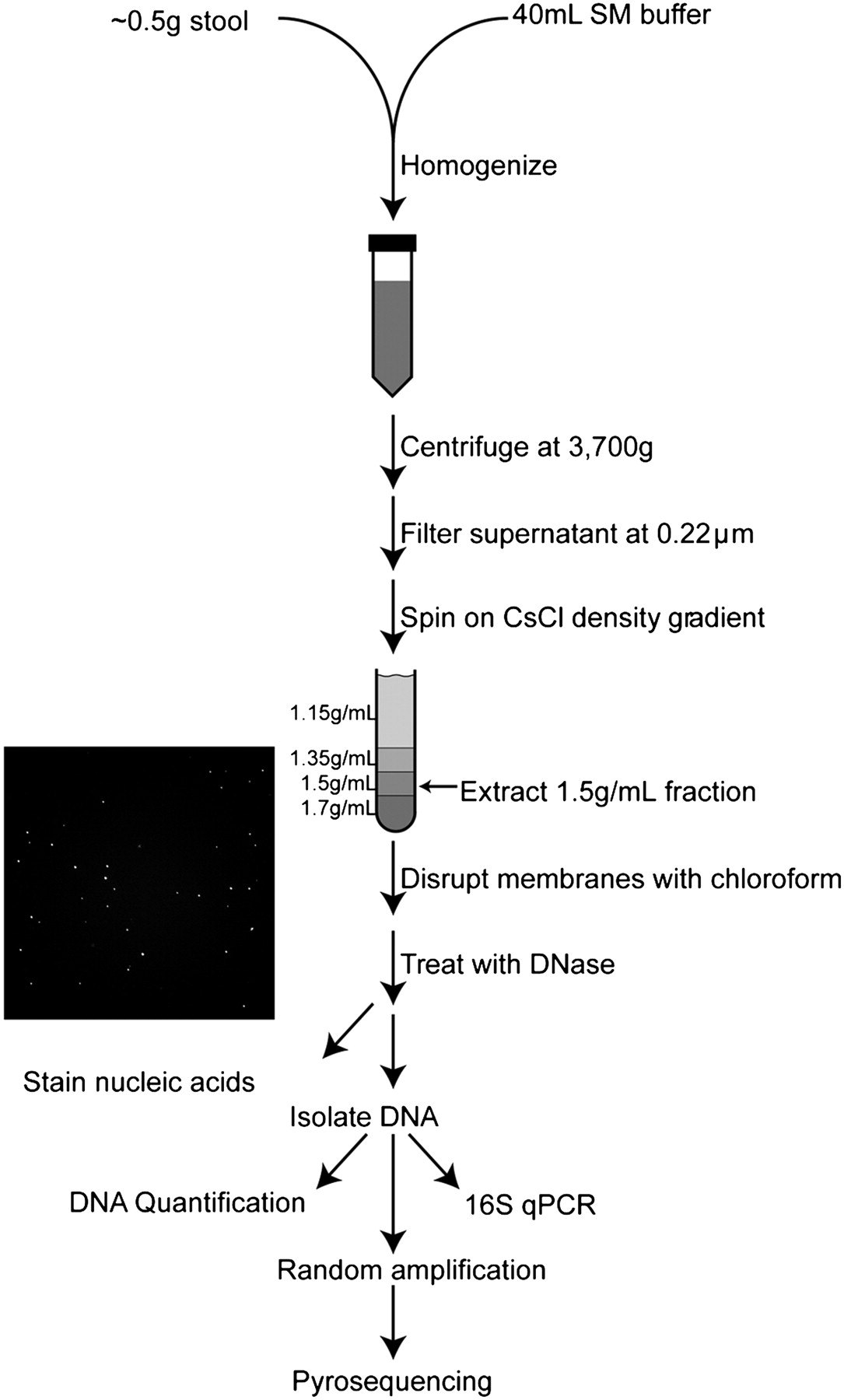 1616fig1
