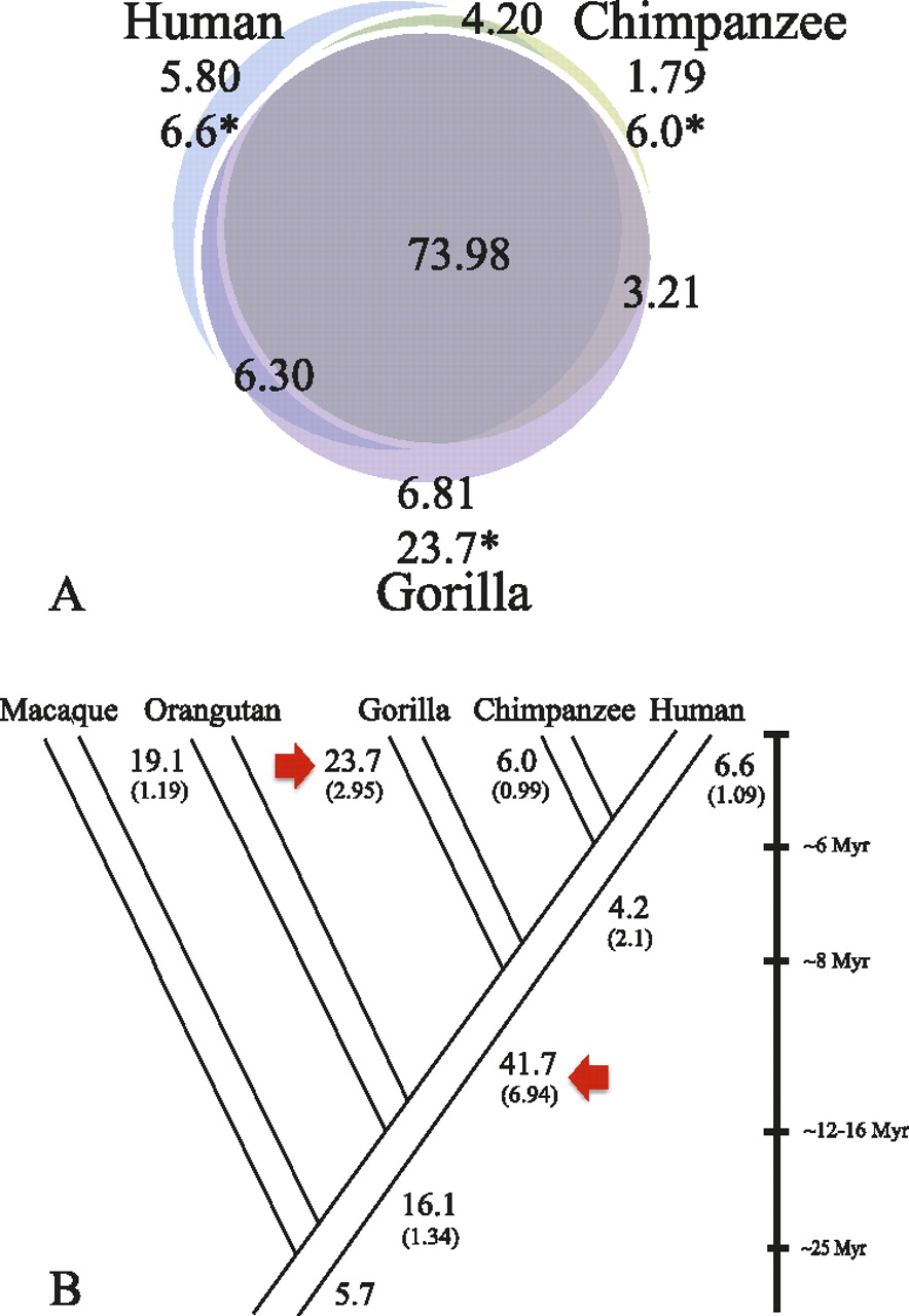 1640fig3