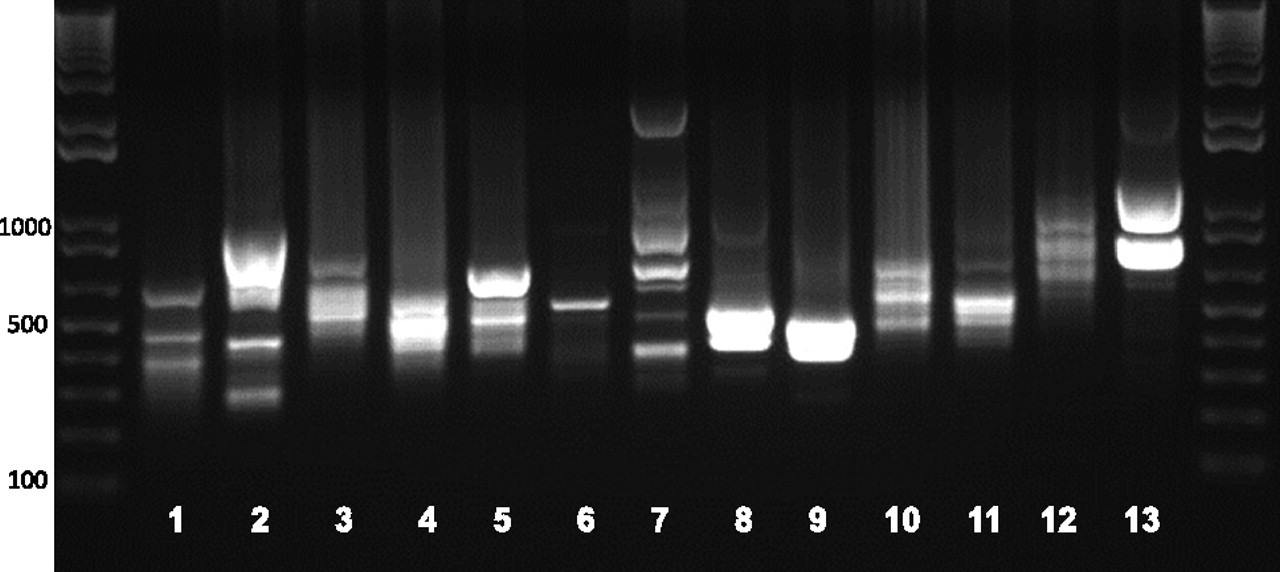 1695fig2