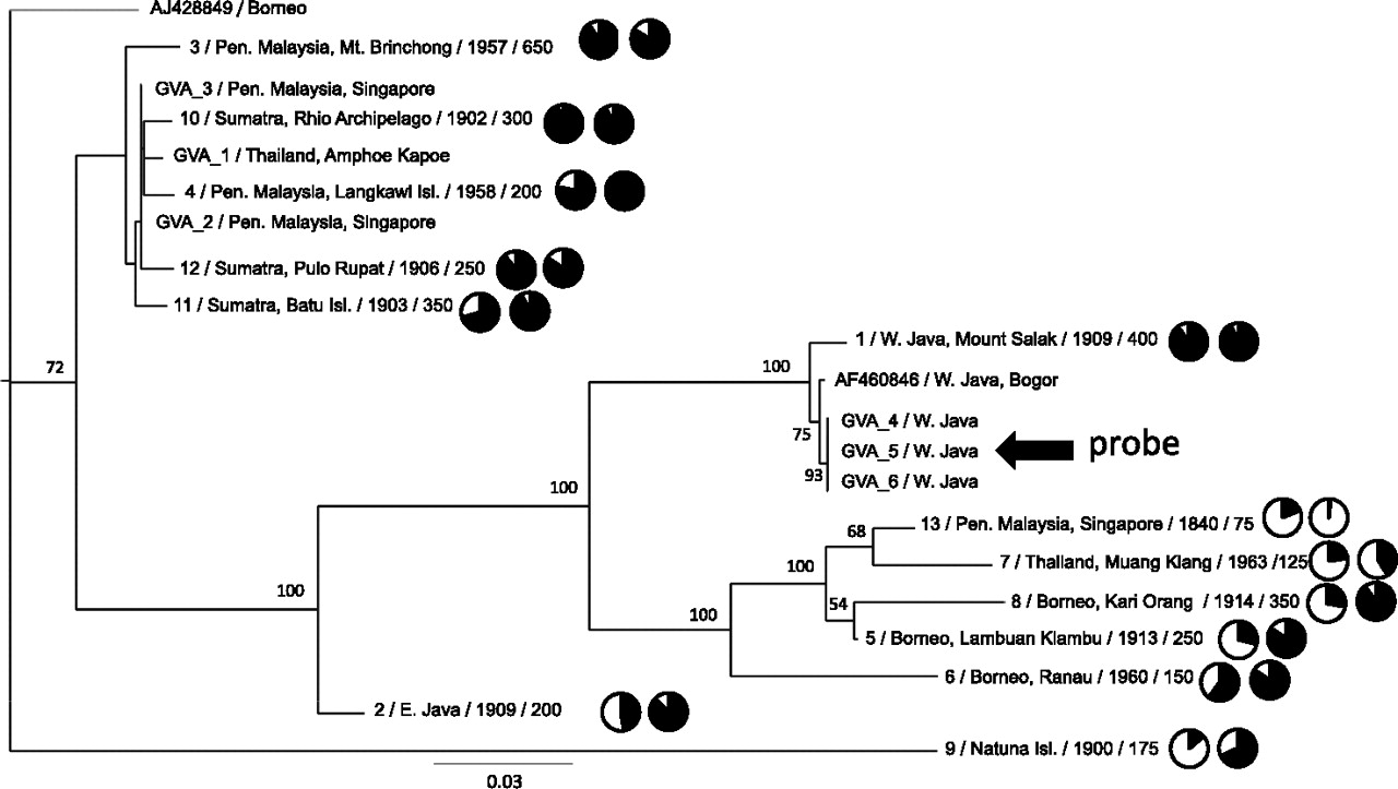 1695fig5