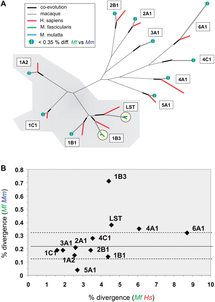 1746fig4