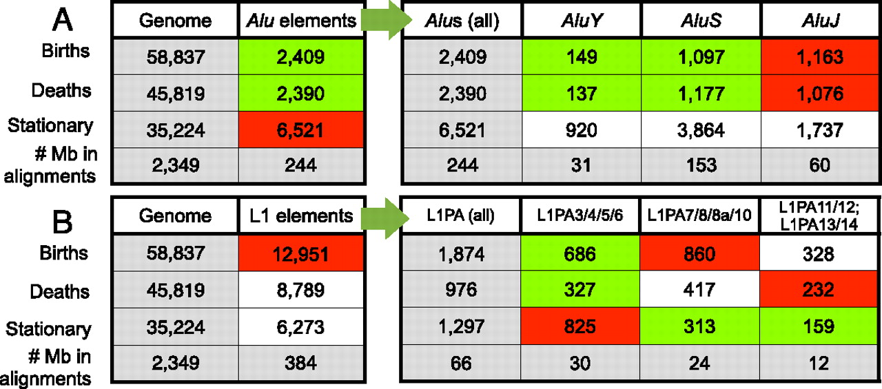 2038fig4
