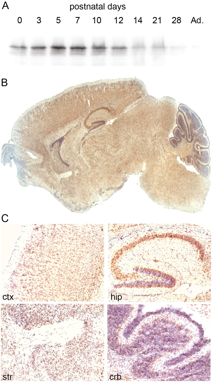 2190fig1