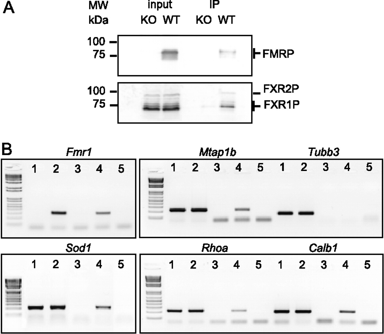 2190fig6