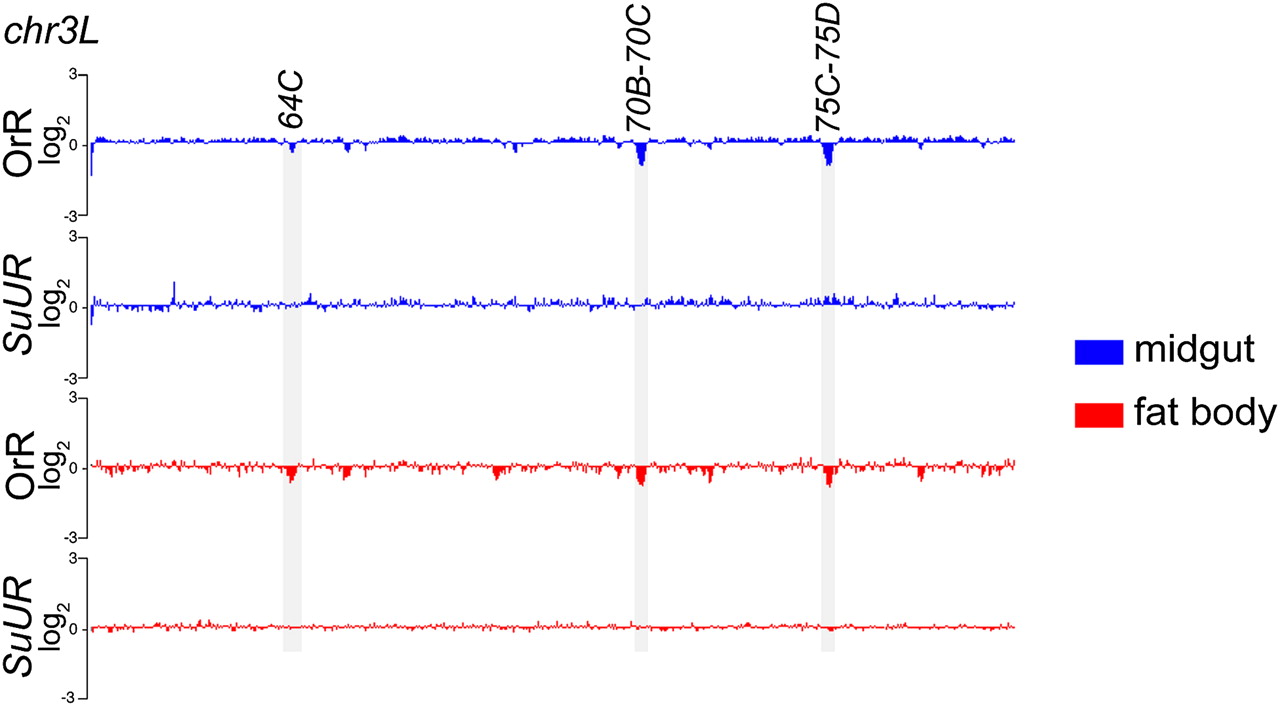 175fig2