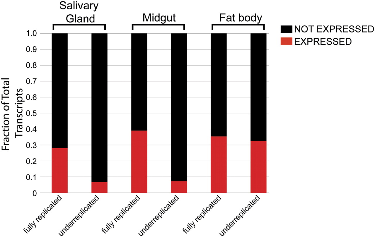175fig4