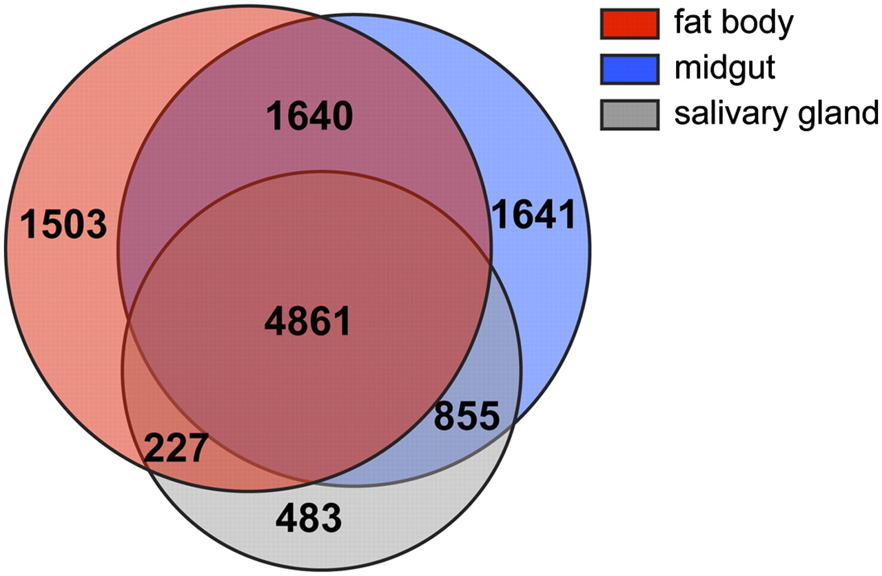 175fig5