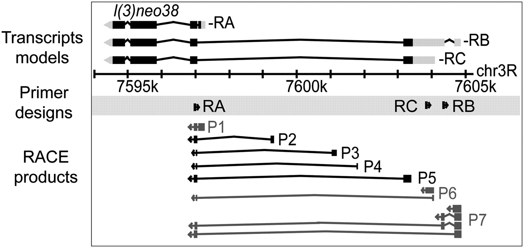 182fig2