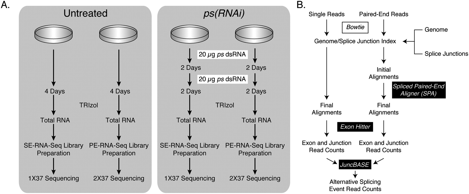 193fig1