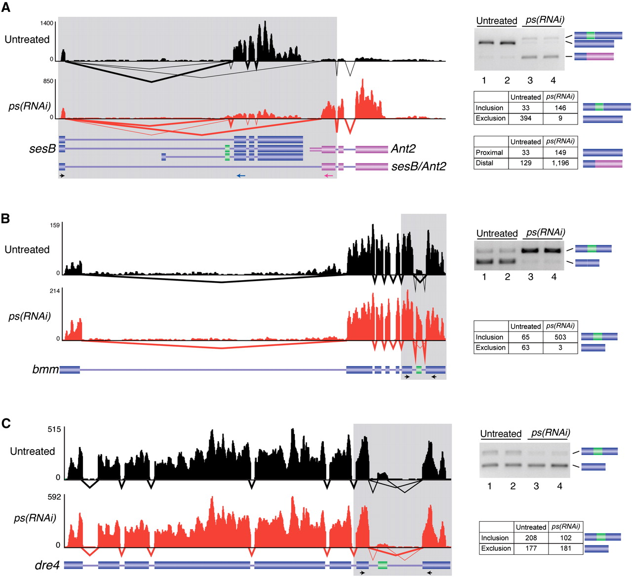 193fig3