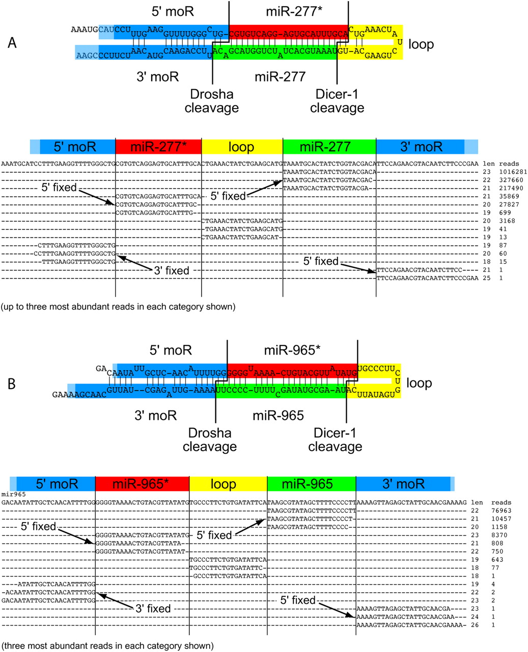 203fig2