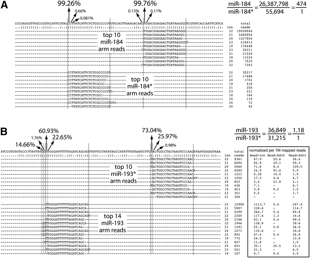 203fig4
