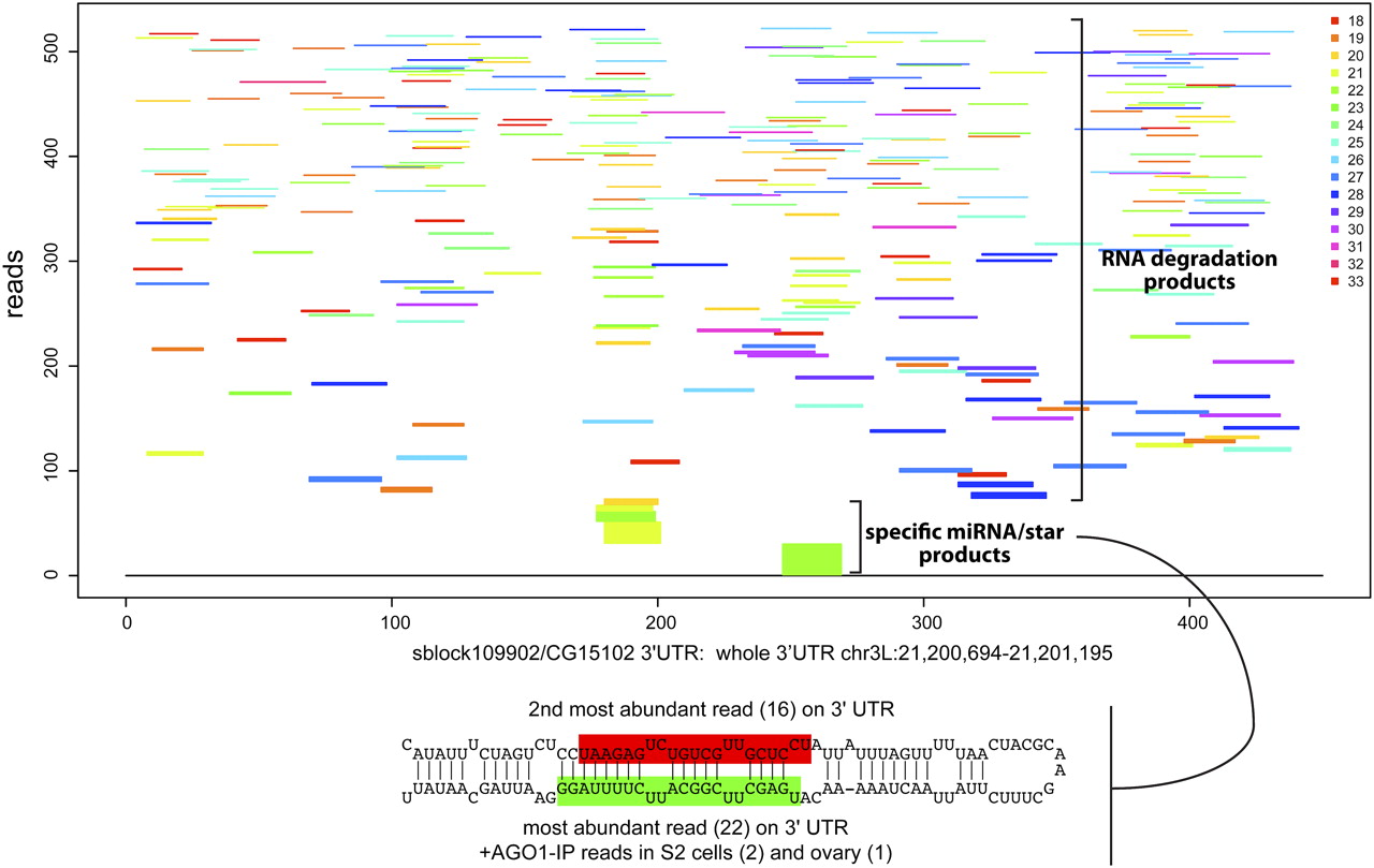 203fig8