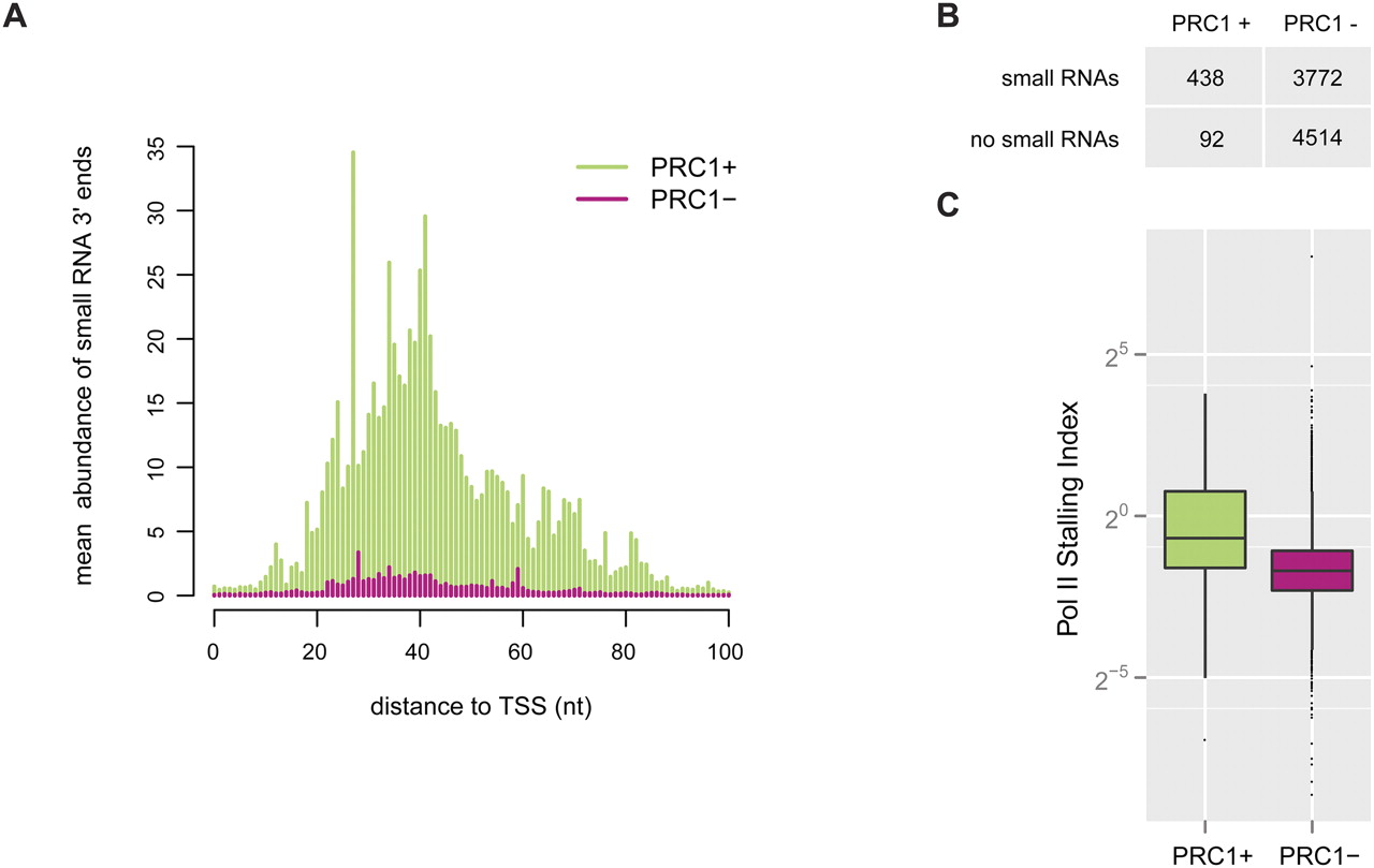 216fig3