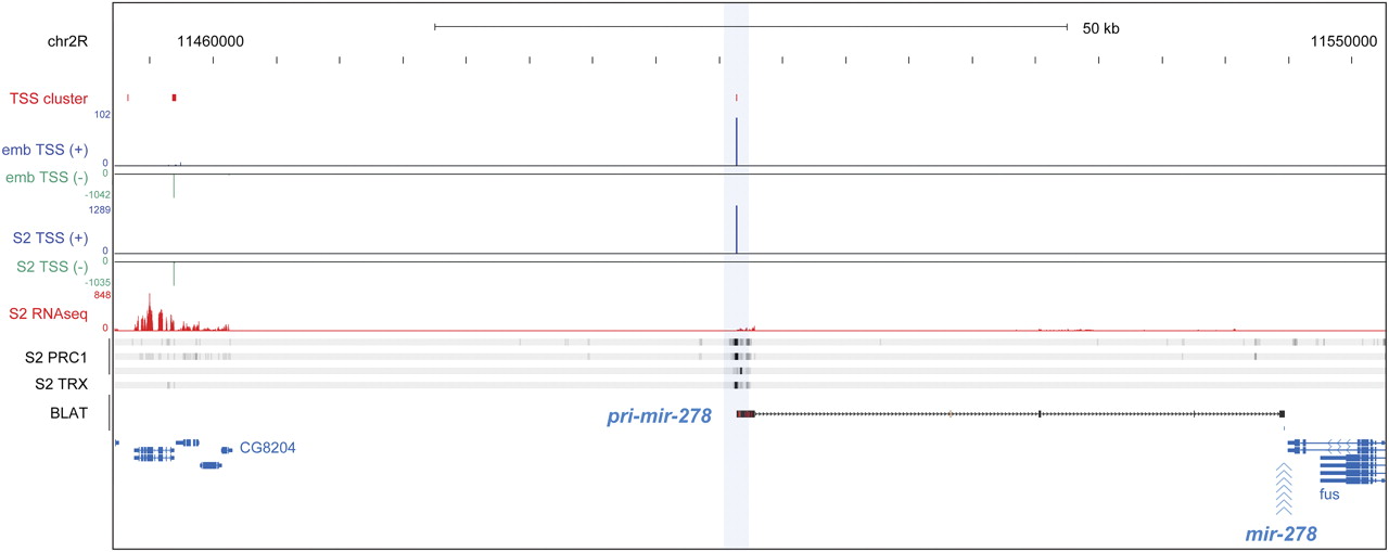 216fig5
