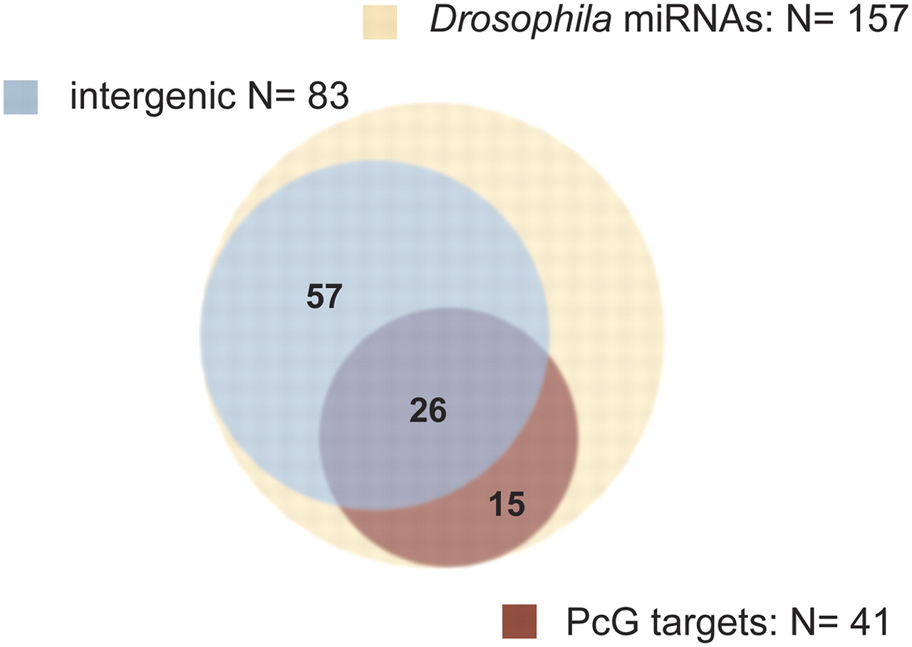 216fig6