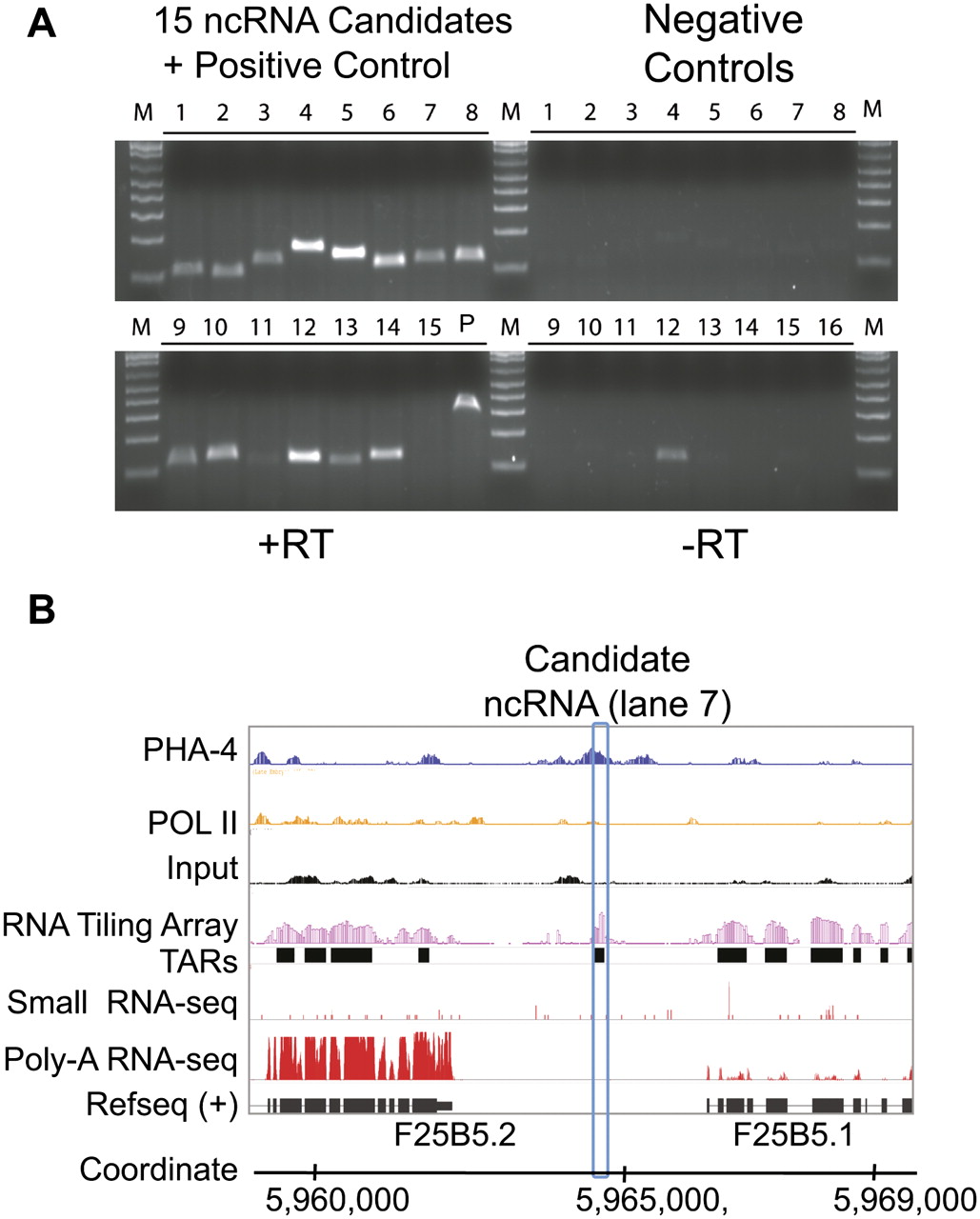 276fig4