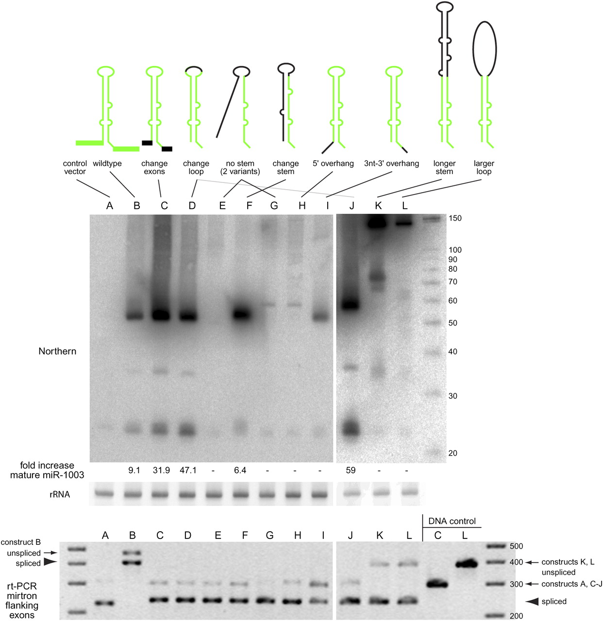 286fig2