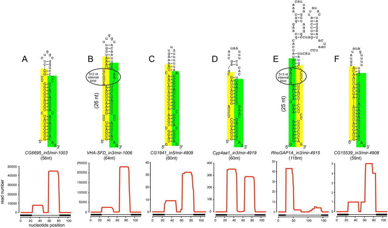 286fig3