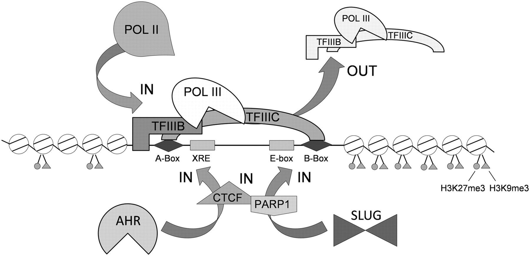 422fig8