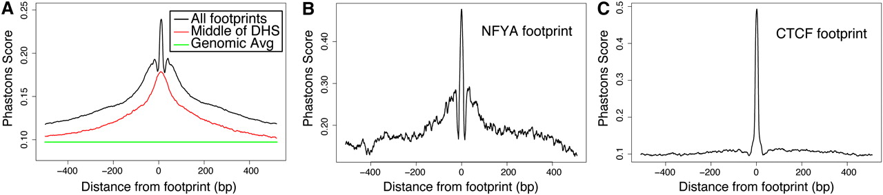 456fig4