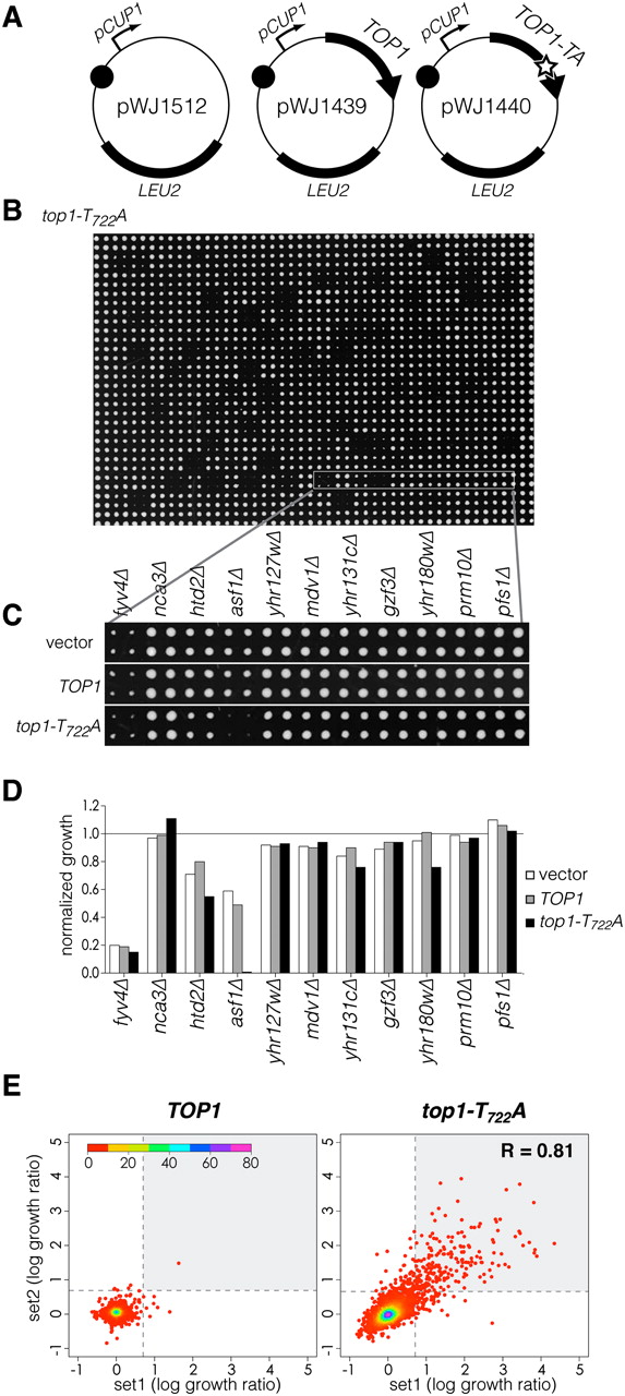 477fig2