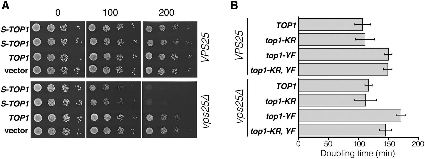 477fig4