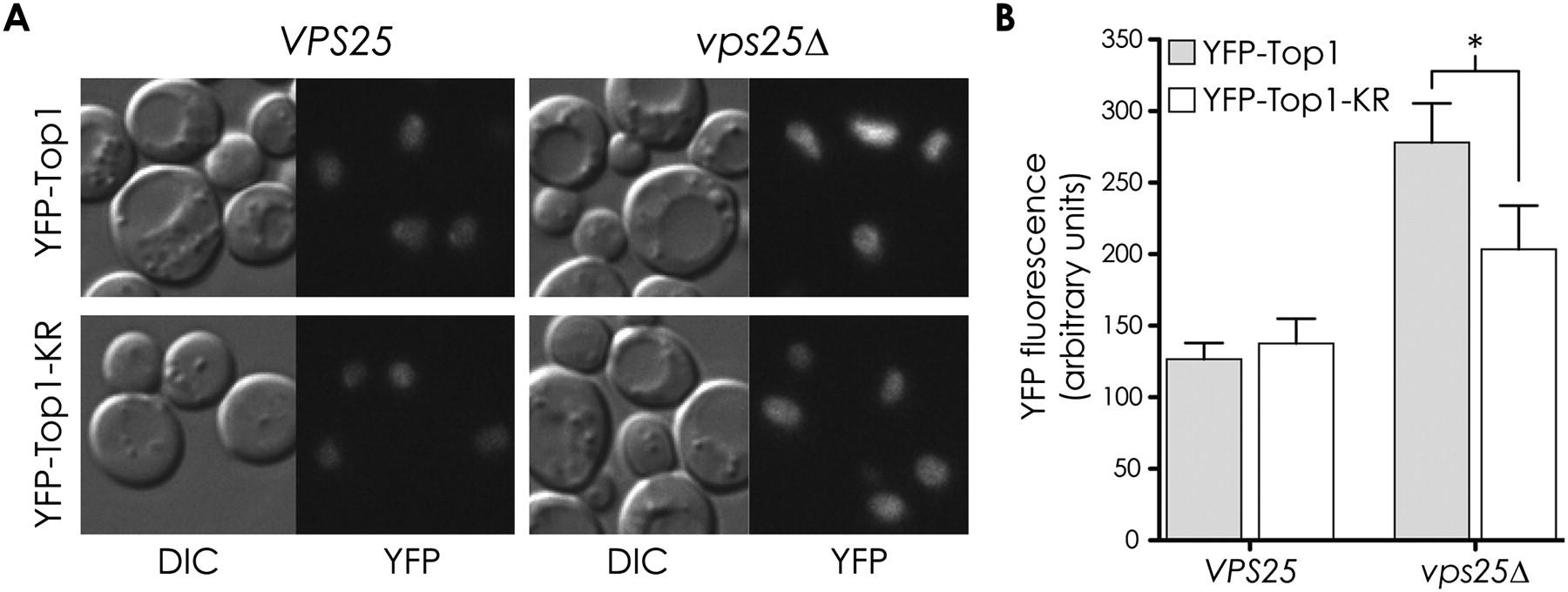 477fig5