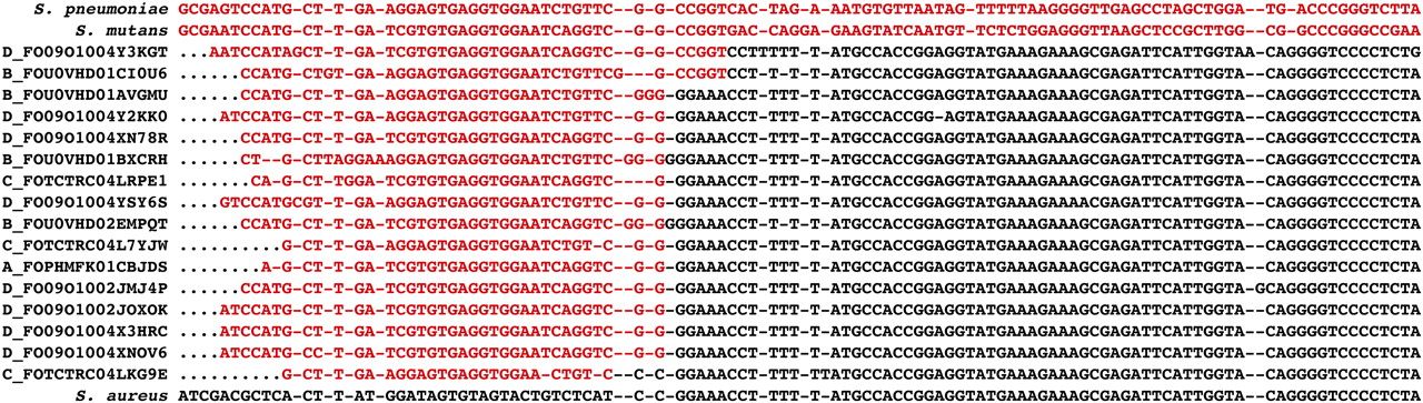494fig4