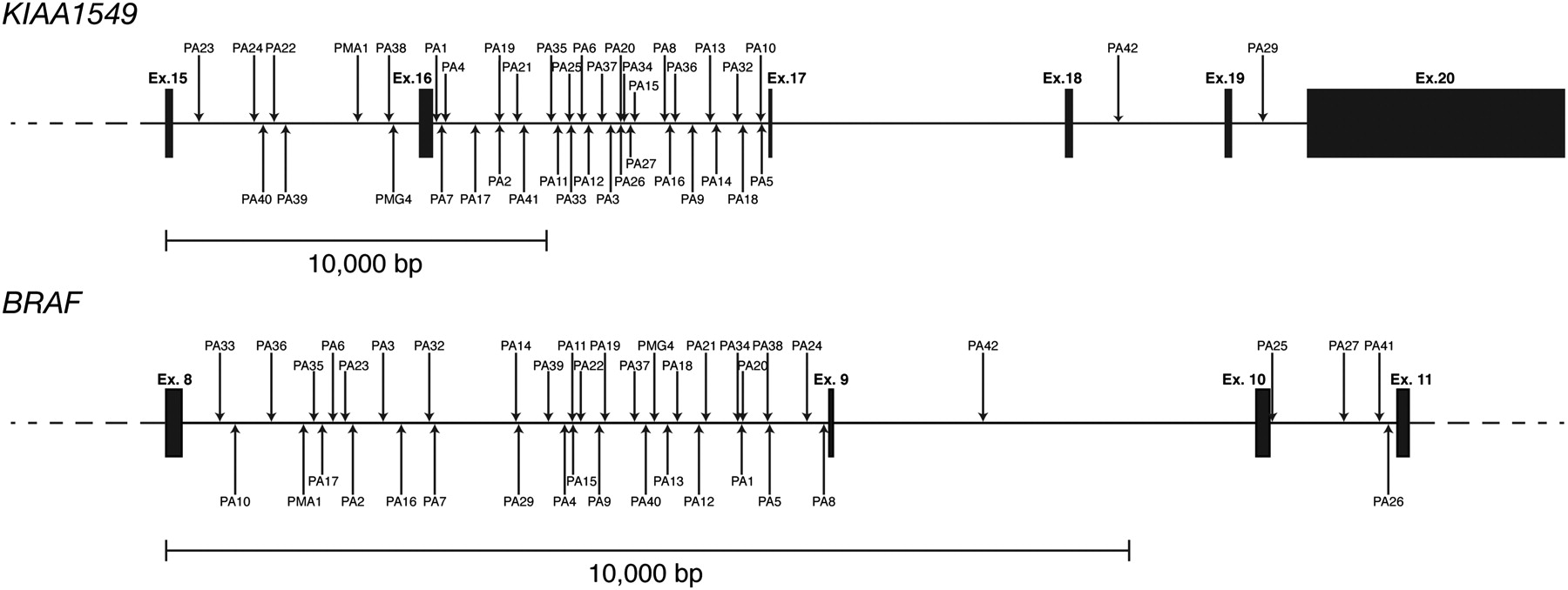 505fig1