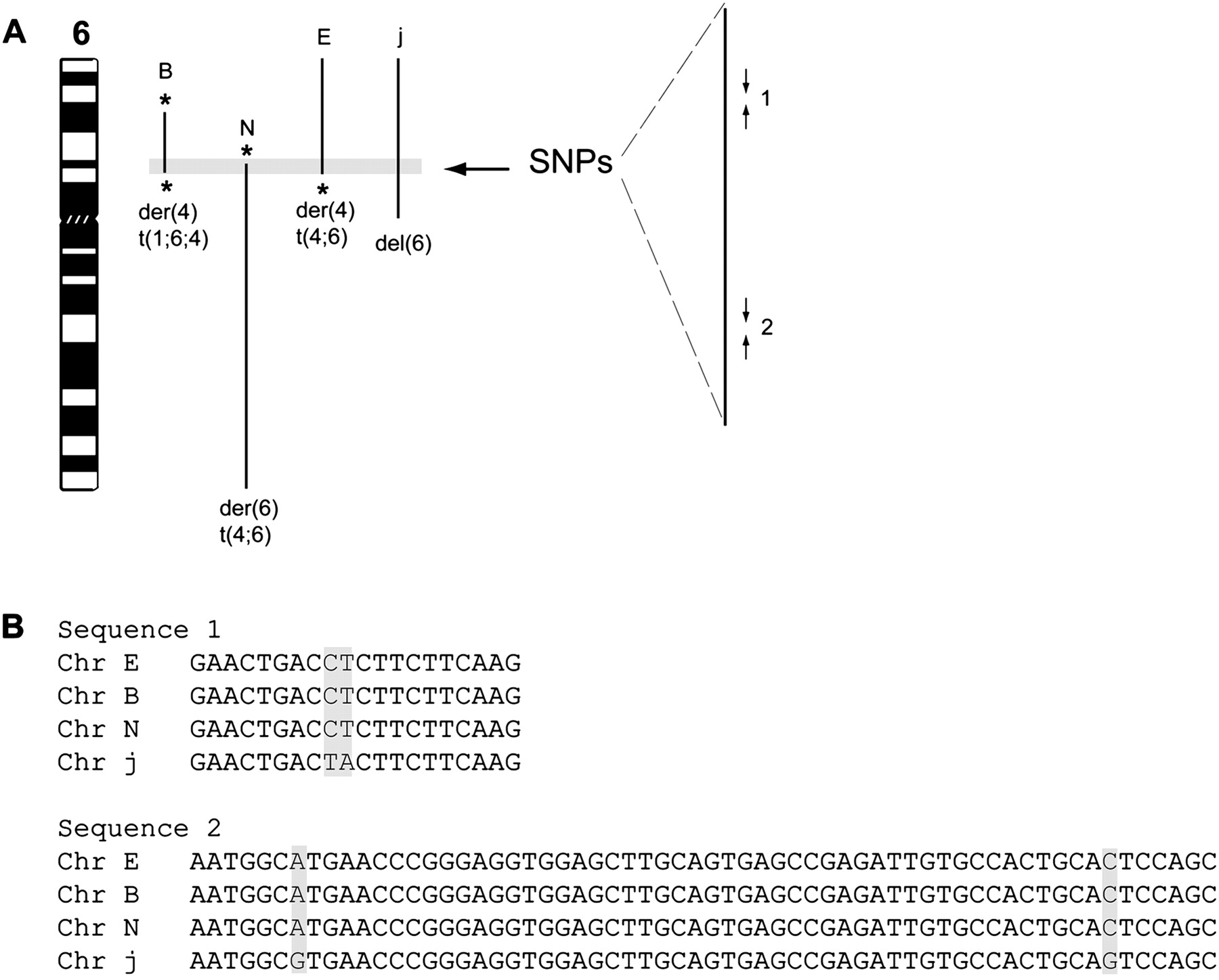 525fig3