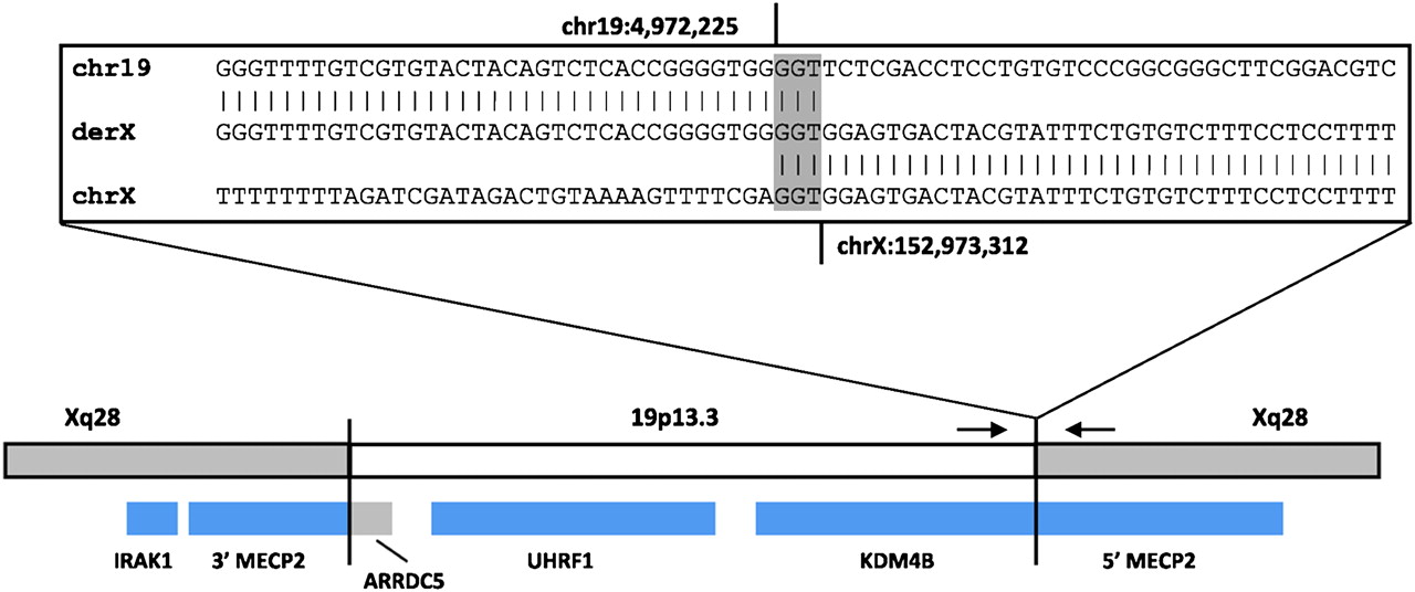 535fig4