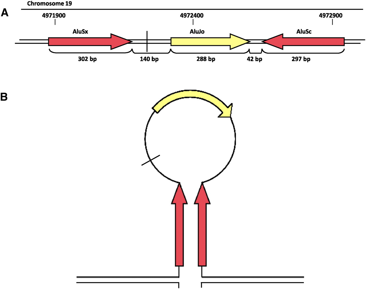 535fig5